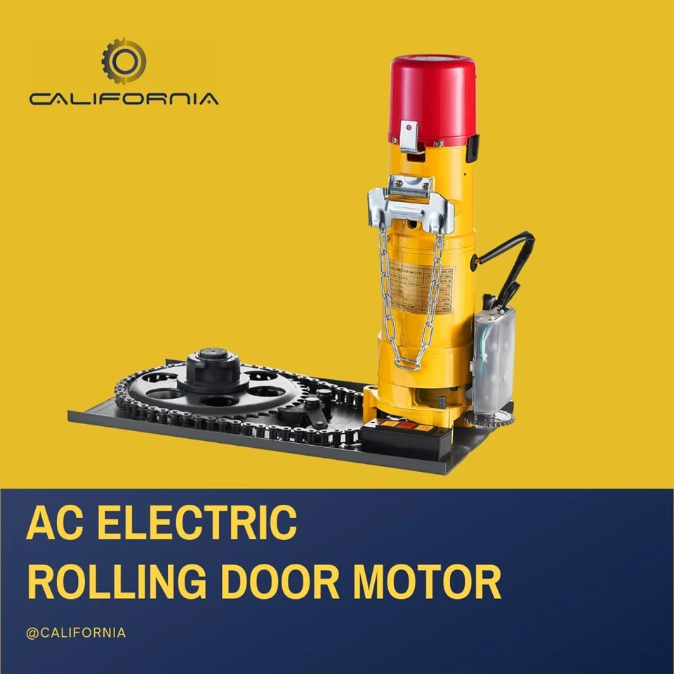 Motorized Rolling Door